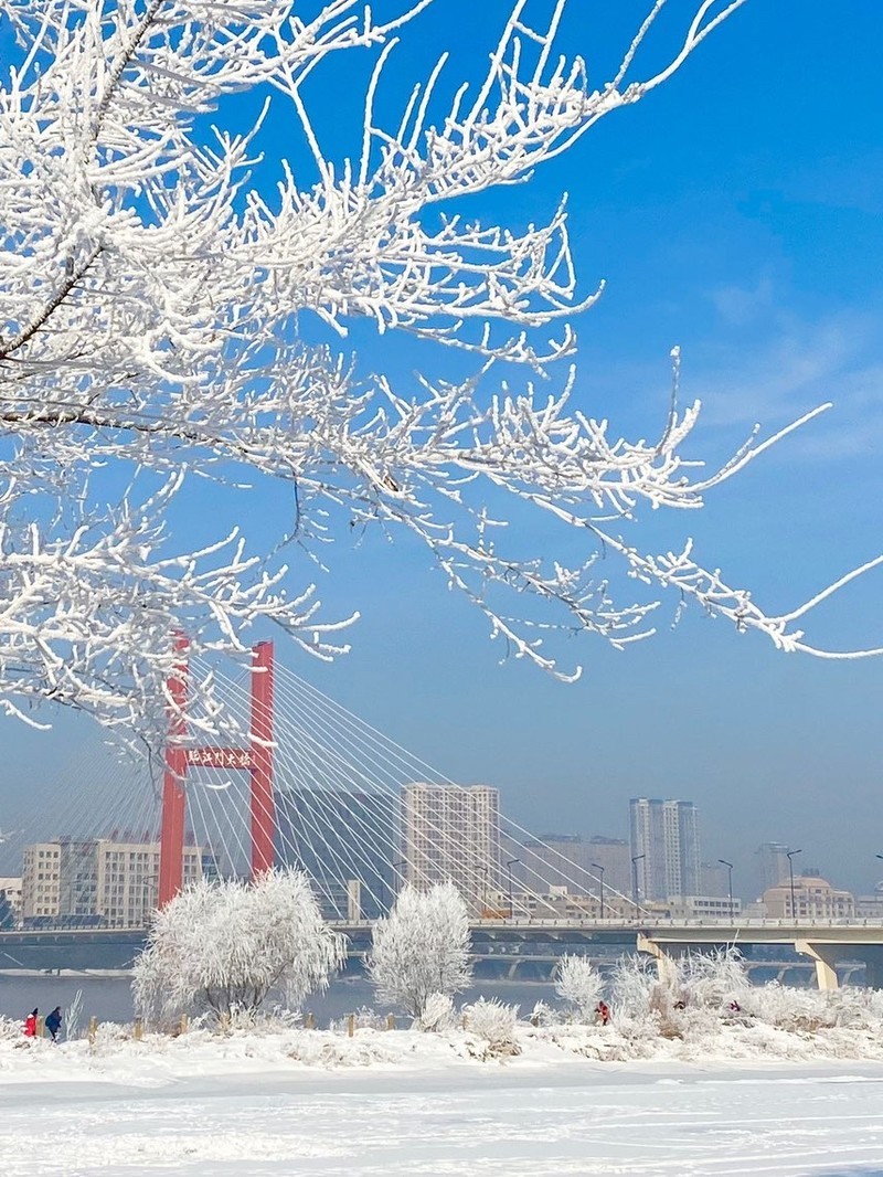 吉林日报聚焦吉林发展动态